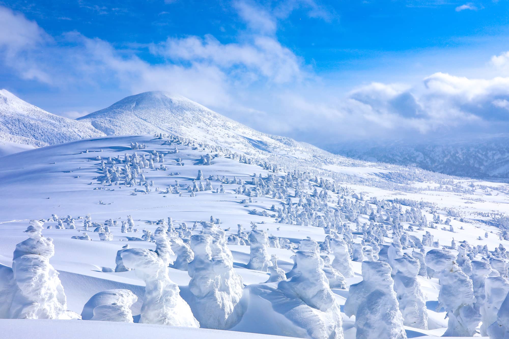 The Mt. Hakkoda