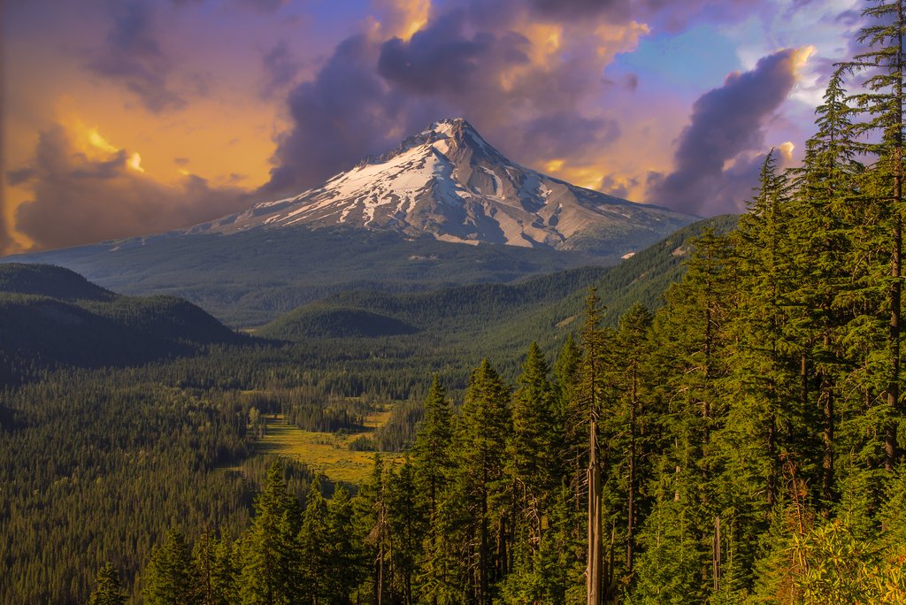 The Mt. Hood