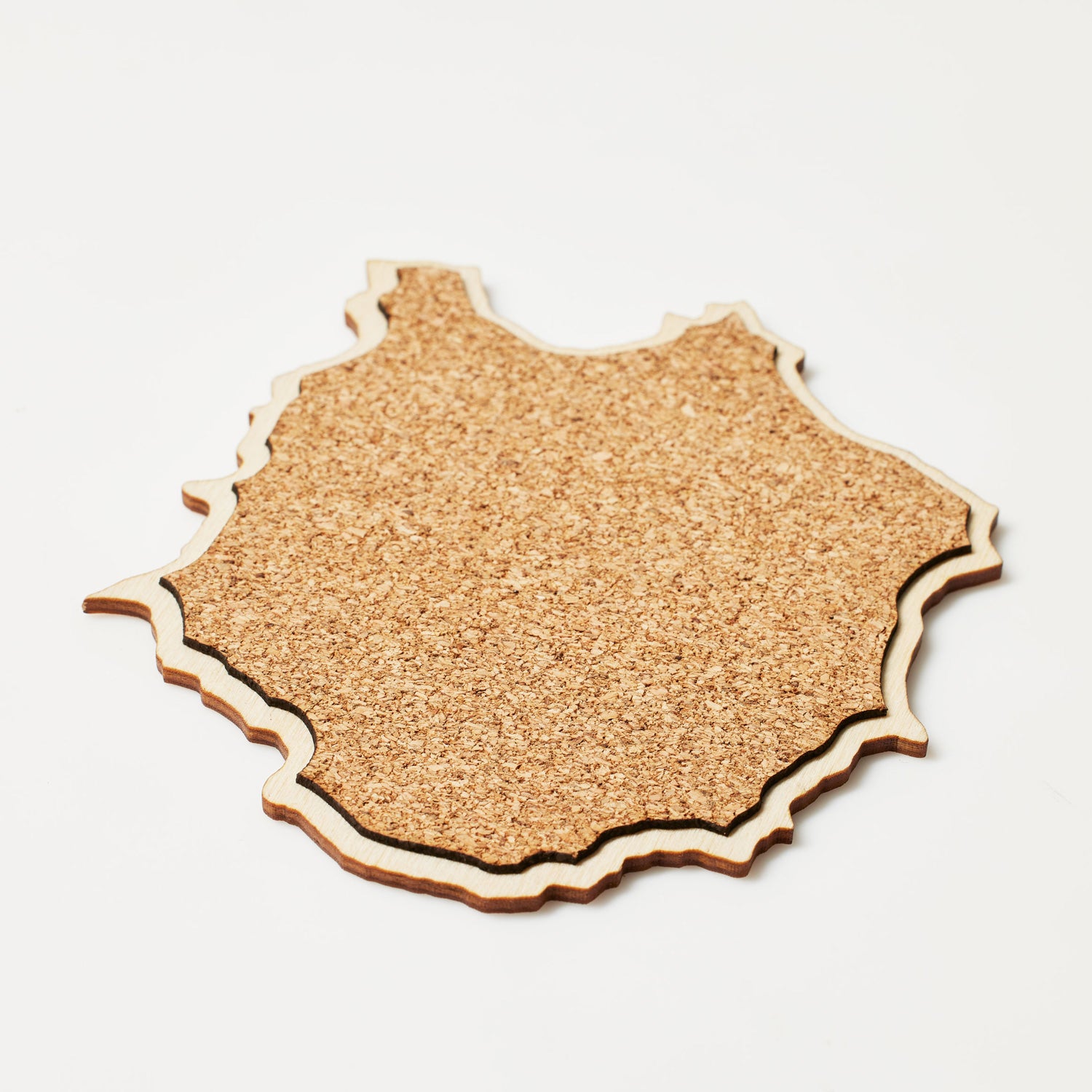 The Mt. Rainier Coaster – Northdrinkware Japan